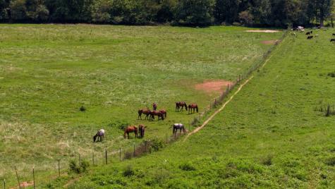 51.20 Ac Bethabara Road Hayesville NC 28904