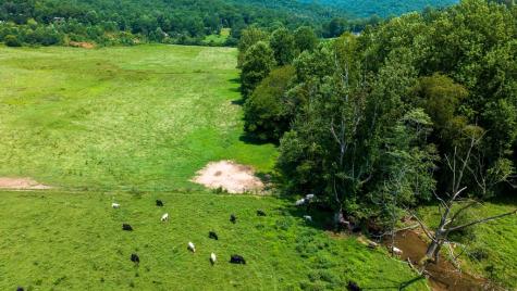51.20 Ac Bethabara Road Hayesville NC 28904