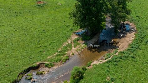 51.20 Ac Bethabara Road Hayesville NC 28904