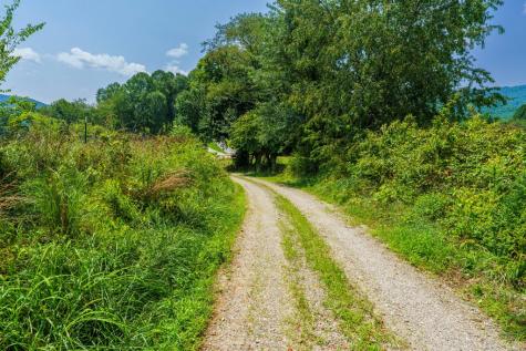 51.20 Ac Bethabara Road Hayesville NC 28904