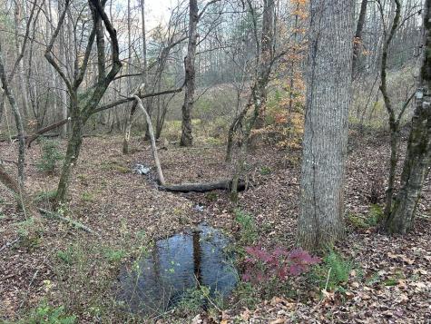 Lot 12 Tombstone Drive Blairsville GA 30512