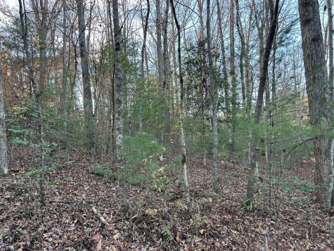 Lot 12 Tombstone Drive Blairsville GA 30512