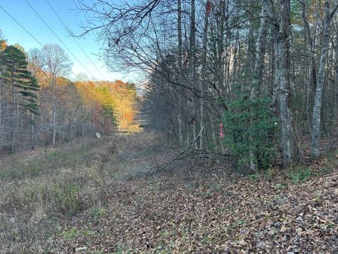 Lot 12 Tombstone Drive Blairsville GA 30512