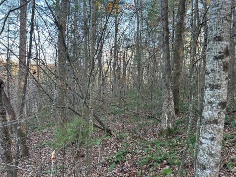 Lot 12 Tombstone Drive Blairsville GA 30512