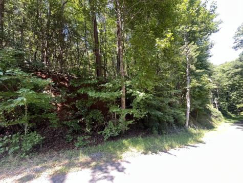 P 10 Gold Mine Drive Ellijay GA 30536