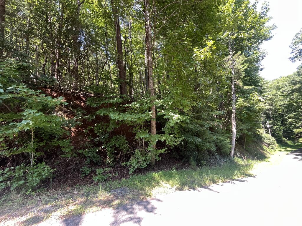 P 10 Gold Mine Drive Ellijay GA 30536