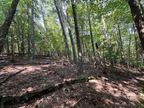 P 10 Gold Mine Drive Ellijay GA 30536
