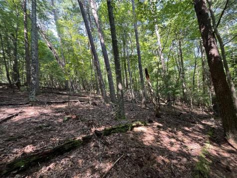 P 10 Gold Mine Drive Ellijay GA 30536