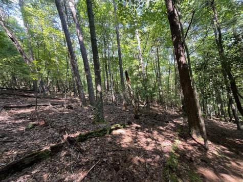 P 10 Gold Mine Drive Ellijay GA 30536