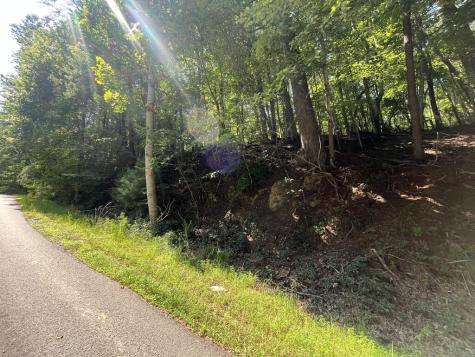 P 10 Gold Mine Drive Ellijay GA 30536