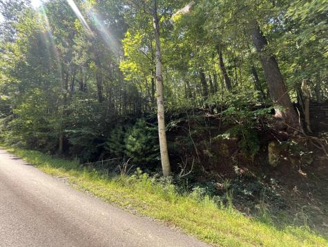P 10 Gold Mine Drive Ellijay GA 30536