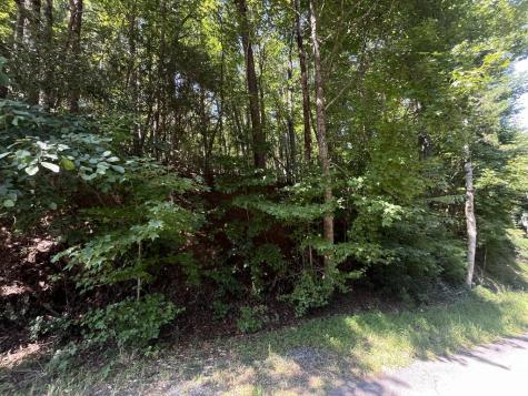 P 10 Gold Mine Drive Ellijay GA 30536