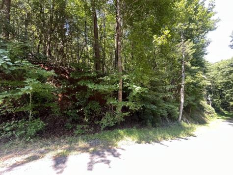 P 10 Gold Mine Drive Ellijay GA 30536