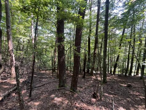 P 10 Gold Mine Drive Ellijay GA 30536