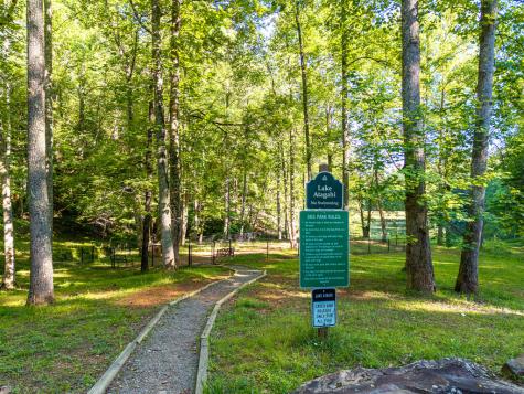 P 10 Gold Mine Drive Ellijay GA 30536