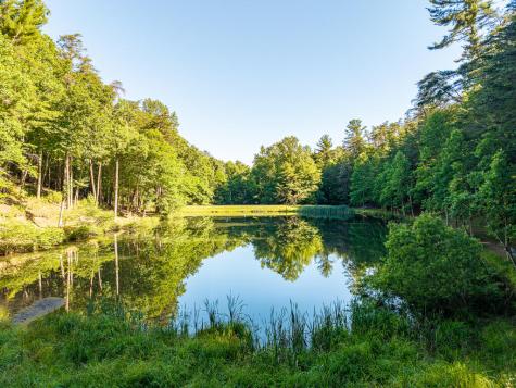 P 10 Gold Mine Drive Ellijay GA 30536