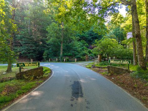 P 10 Gold Mine Drive Ellijay GA 30536