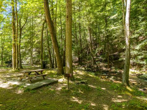 P 10 Gold Mine Drive Ellijay GA 30536