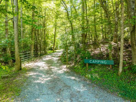 P 10 Gold Mine Drive Ellijay GA 30536