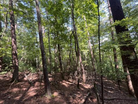 P 10 Gold Mine Drive Ellijay GA 30536