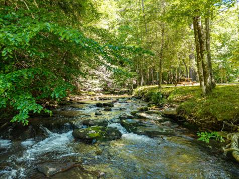 P 10 Gold Mine Drive Ellijay GA 30536