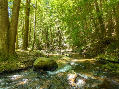 P 10 Gold Mine Drive Ellijay GA 30536