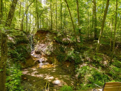 P 10 Gold Mine Drive Ellijay GA 30536