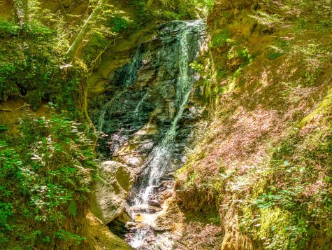 P 10 Gold Mine Drive Ellijay GA 30536