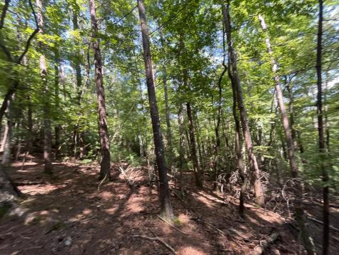 P 10 Gold Mine Drive Ellijay GA 30536