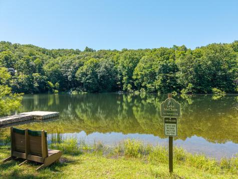 P 10 Gold Mine Drive Ellijay GA 30536