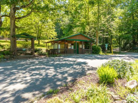 P 10 Gold Mine Drive Ellijay GA 30536