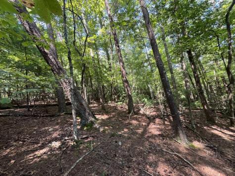 P 10 Gold Mine Drive Ellijay GA 30536