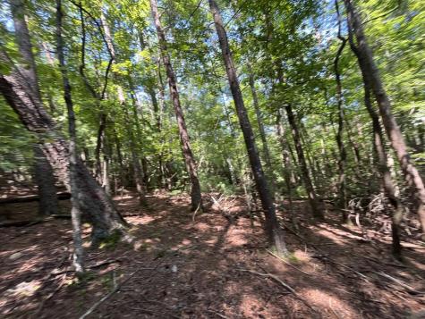 P 10 Gold Mine Drive Ellijay GA 30536