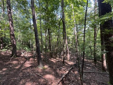 P 10 Gold Mine Drive Ellijay GA 30536