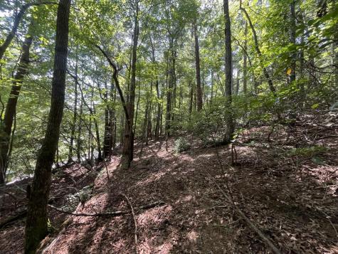 P 10 Gold Mine Drive Ellijay GA 30536