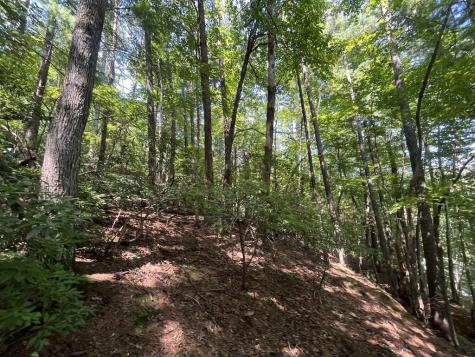 P 10 Gold Mine Drive Ellijay GA 30536