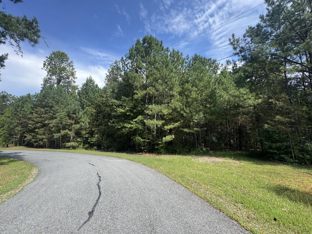 53 Lakeland Drive Ellijay GA 30540