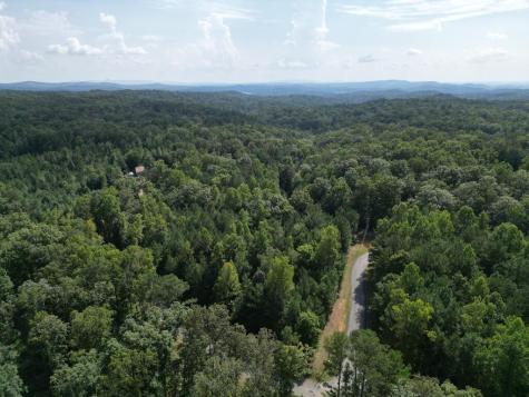 53 Lakeland Drive Ellijay GA 30540