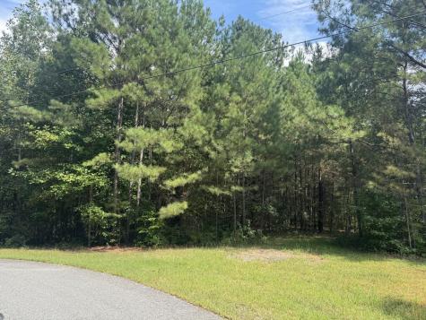53 Lakeland Drive Ellijay GA 30540