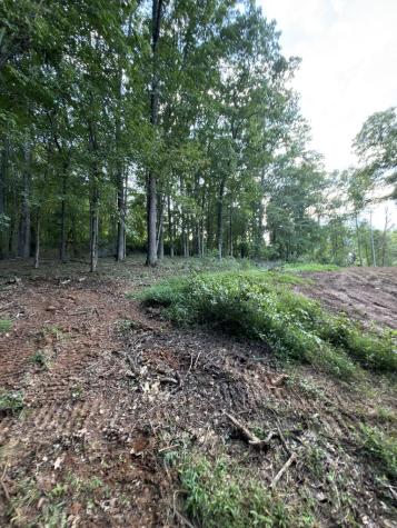 2342 Us Hwy 76 W Hiawassee GA 30546