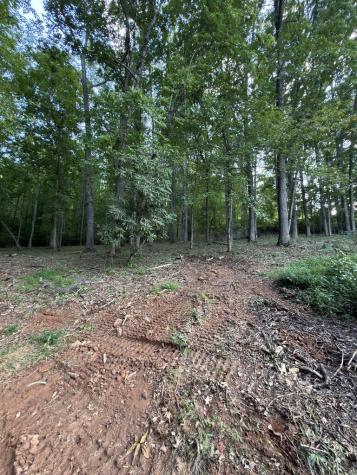 2342 Us Hwy 76 W Hiawassee GA 30546