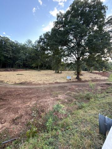 2342 Us Hwy 76 W Hiawassee GA 30546