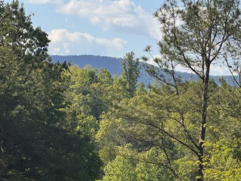Lot 2 Grassy Creek Road Copperhill TN 37317