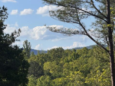 Lot 2 Grassy Creek Road Copperhill TN 37317