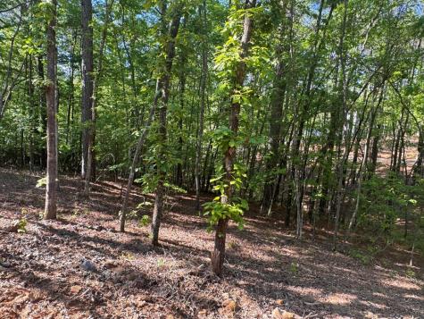 Lot 2 Grassy Creek Road Copperhill TN 37317