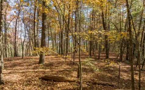 1 Tr Old Anderson Creek Ellijay GA 30536