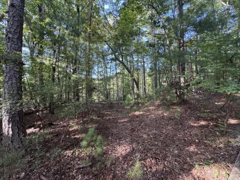 73-76 Peach Lane Ellijay GA 30536