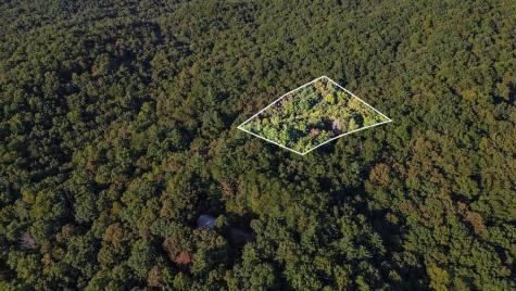 73-76 Peach Lane Ellijay GA 30536