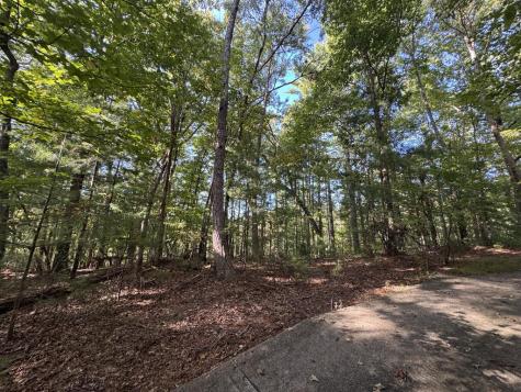 73-76 Peach Lane Ellijay GA 30536