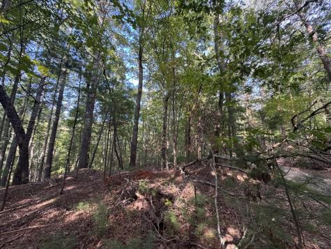73-76 Peach Lane Ellijay GA 30536